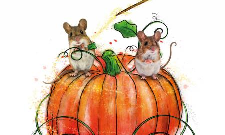 CENICIENTA SOLO QUIERE BAILAR