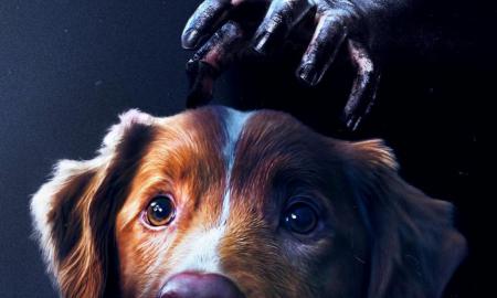 GOOD BOY, <small>XIV FESTIVAL DE CINE FANTASTICO Y DE TERROR</small>