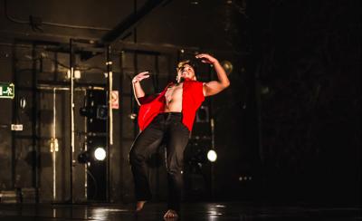 PLATAFORMA DANZA EMERGENTE. XVII FESTIVAL DZM