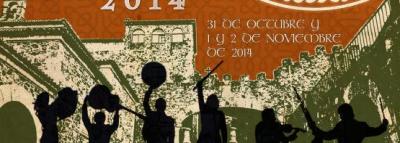 11 CACERES IRISH FLEADH 2014