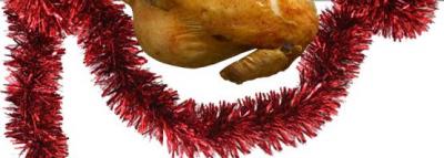 PIEL DE POLLO