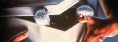 GREMLINS