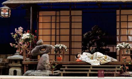 MADAMA BUTTERFLY