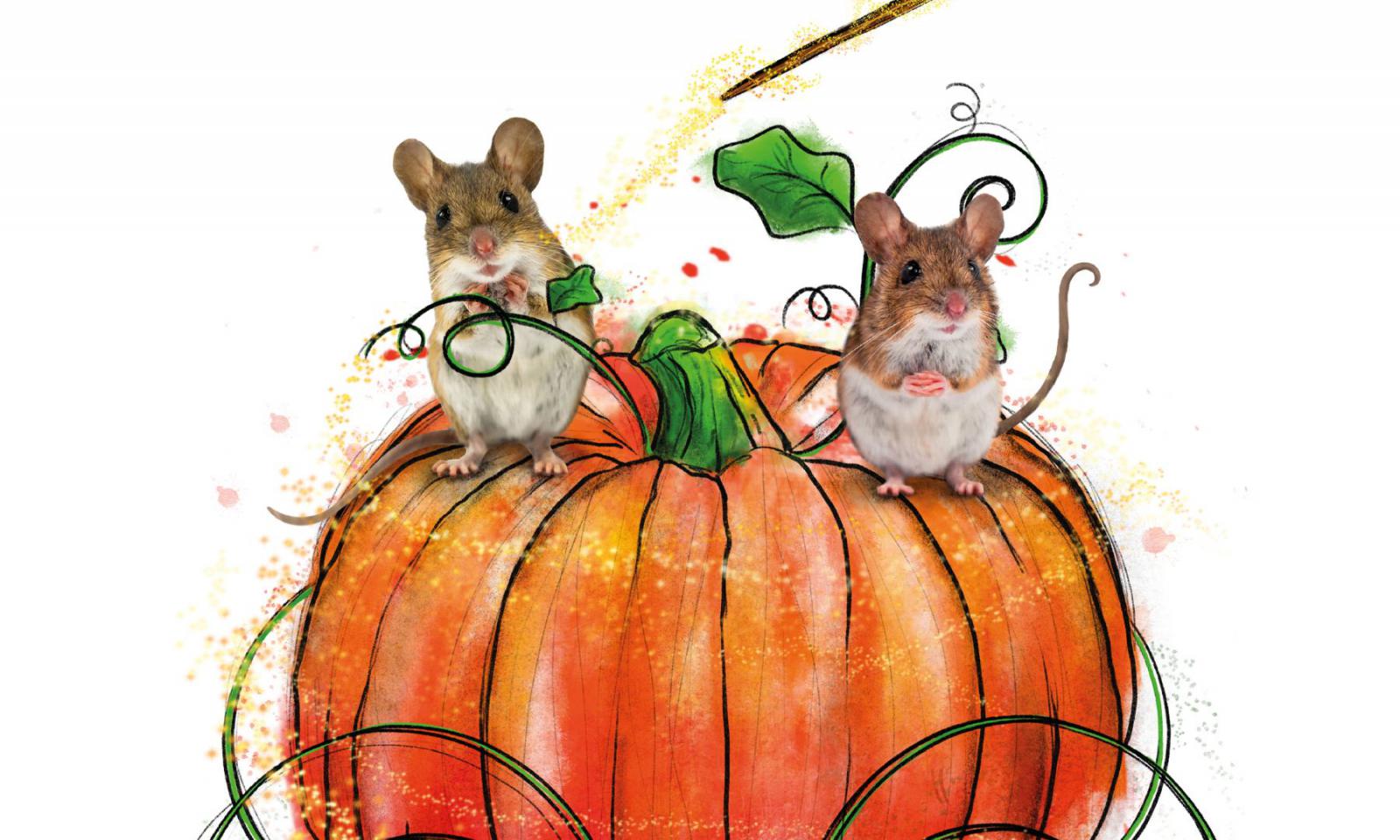 CENICIENTA SOLO QUIERE BAILAR