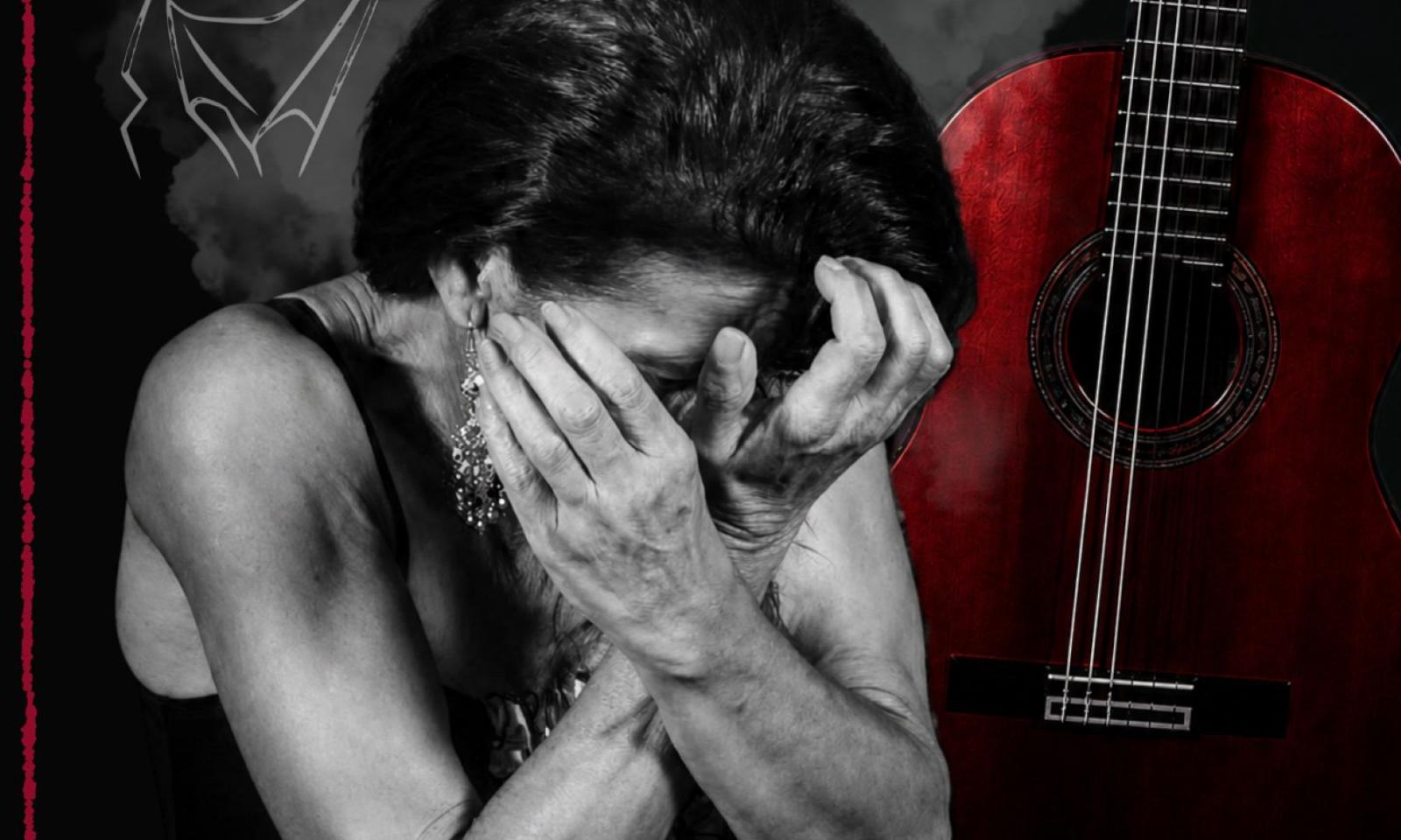 VUELA ALTO TRIBUTO A BAMBINO